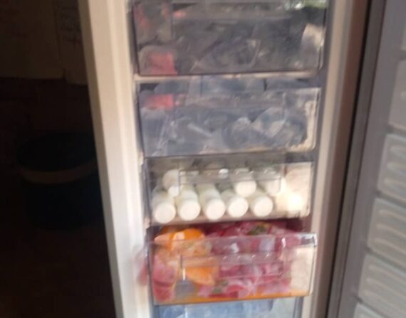 IMG-20220314-WA0011-570x447