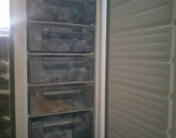 IMG-20220314-WA0018-570x447